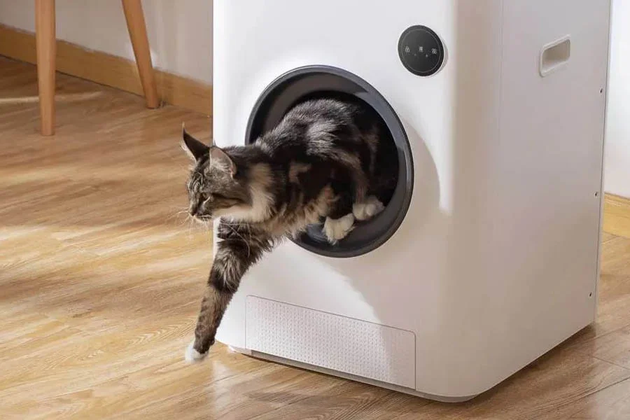 auto litter boxes for cats